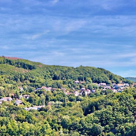 Natur Panorama Suiten Am Rursee Heimbach Exterior photo